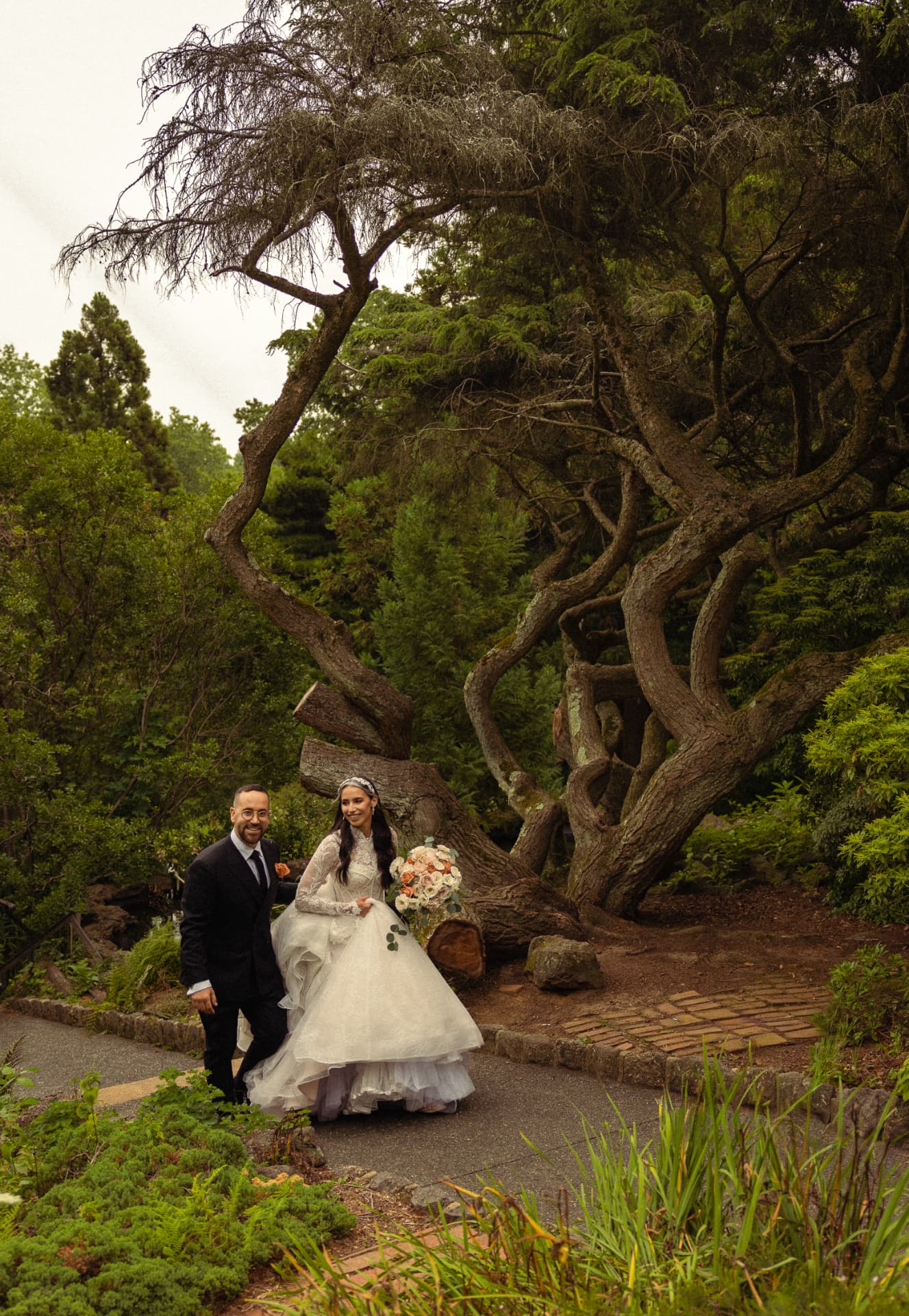 a couple walking beneath a large twisted tree